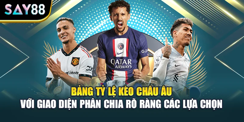 Bảng tỷ lệ kèo châu Âu với giao diện phân chia rõ ràng các lựa chọn