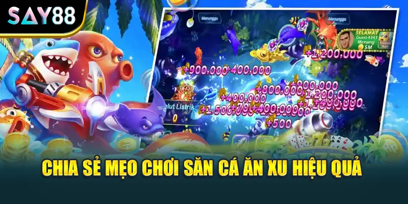 Chia sẻ mẹo chơi săn cá ăn xu hiệu quả