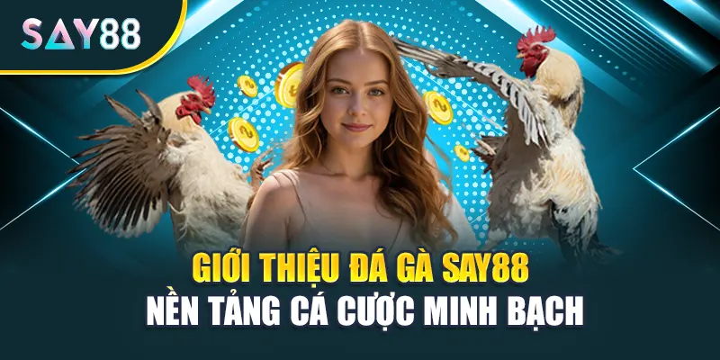 Giới thiệu Đá gà Say88 nền tảng cá cược minh bạch