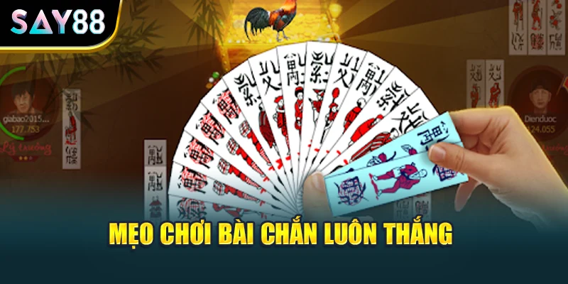 Mẹo chơi bài chắn luôn thắng
