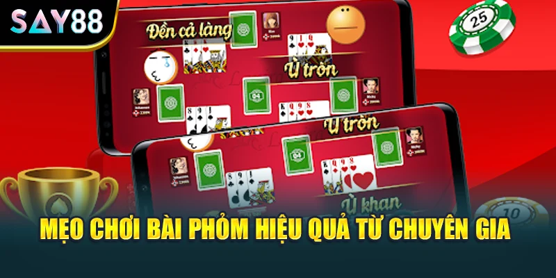 Mẹo chơi bài phỏm hiệu quả từ chuyên gia