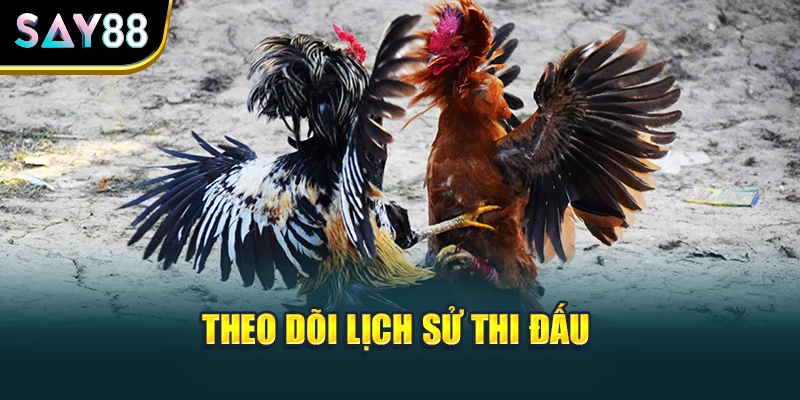 Theo dõi lịch sử thi đấu